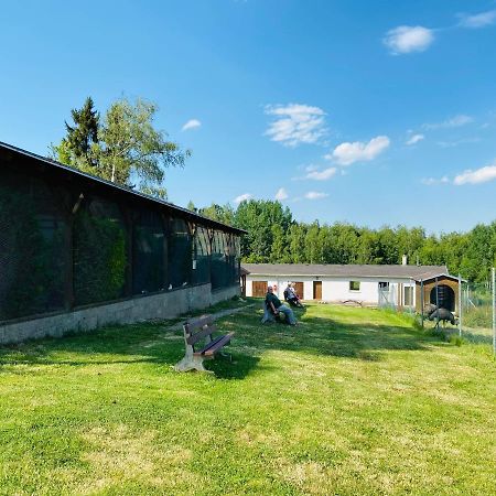 Garni Hotel Pyramida Хеб Экстерьер фото